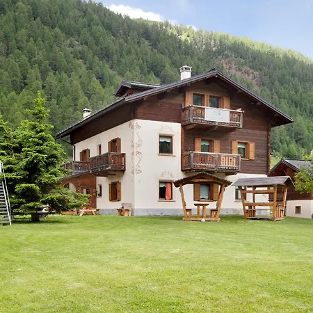 Ulivo Cambra Livigno